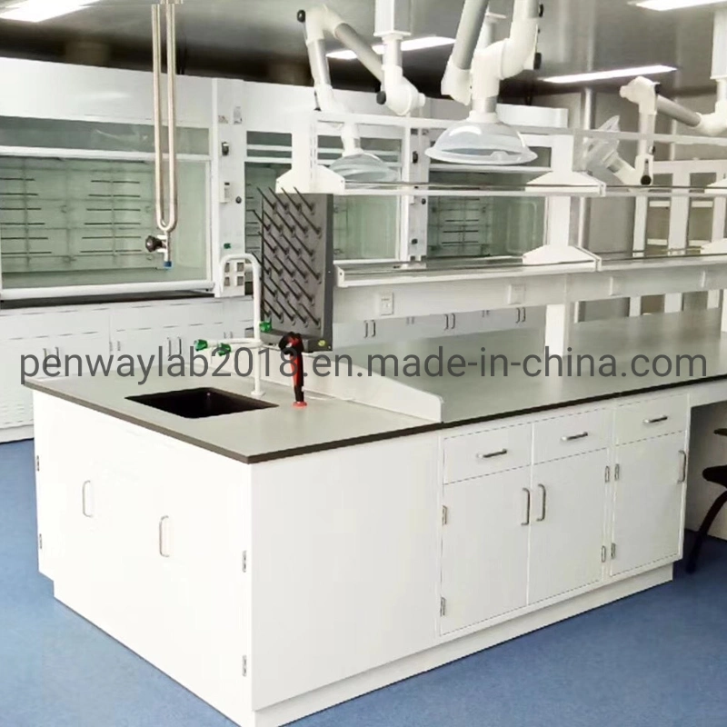 Steel Cabinet Science Lab Furniture Lab Table/ Phenolic Top (2500L*750Wmm) Black & Offwhite